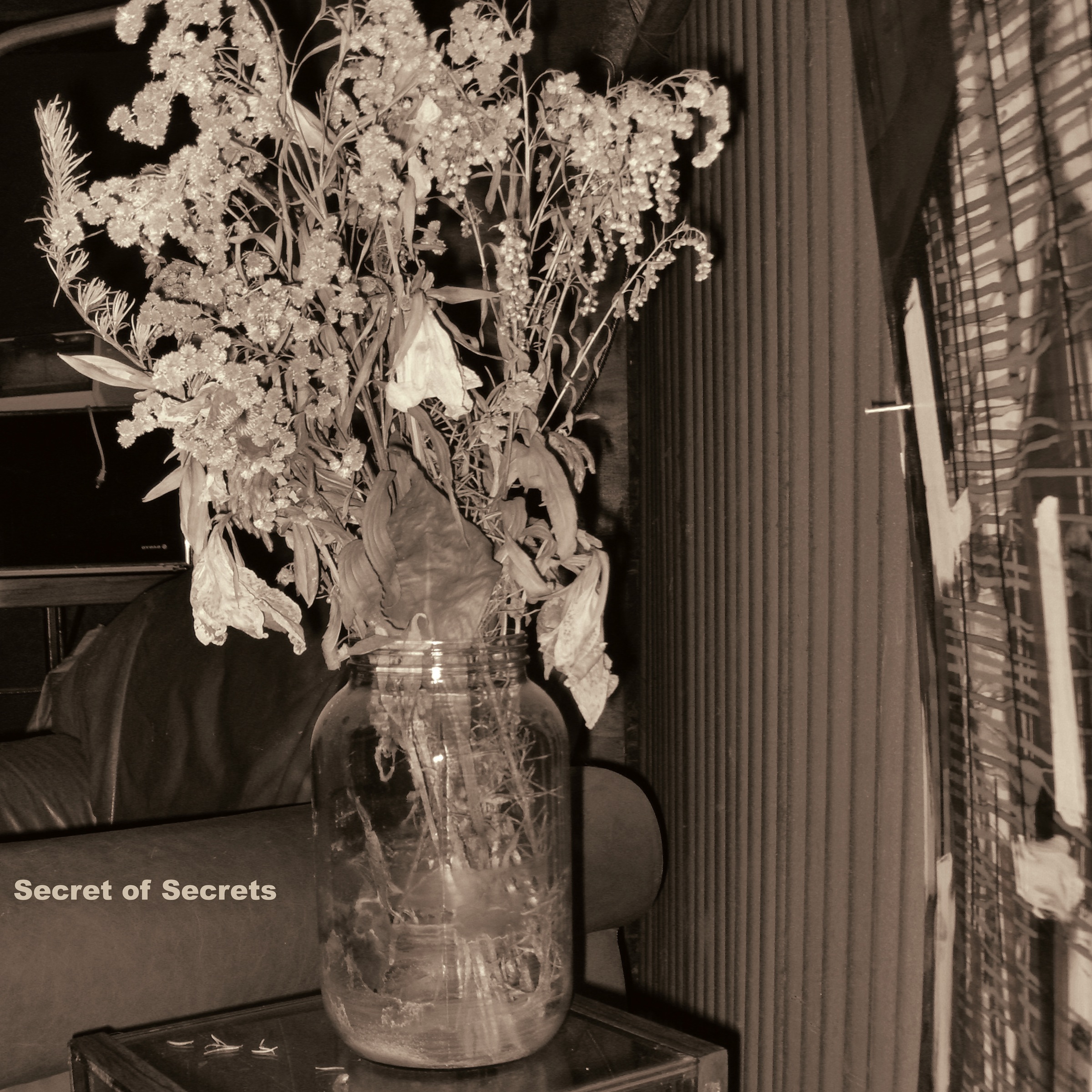 Artwork for Secret Of Secrets